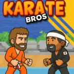 Karate Bros